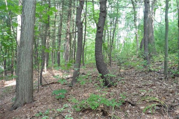 93 Rye Hill Cir, Somers, CT 06071